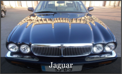 jaguarpolir